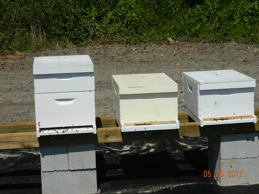 DSCN0636.JPG