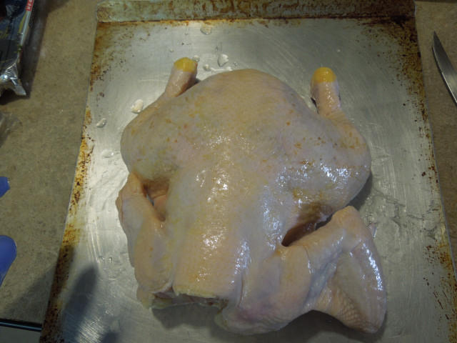 DSCN0704.JPG