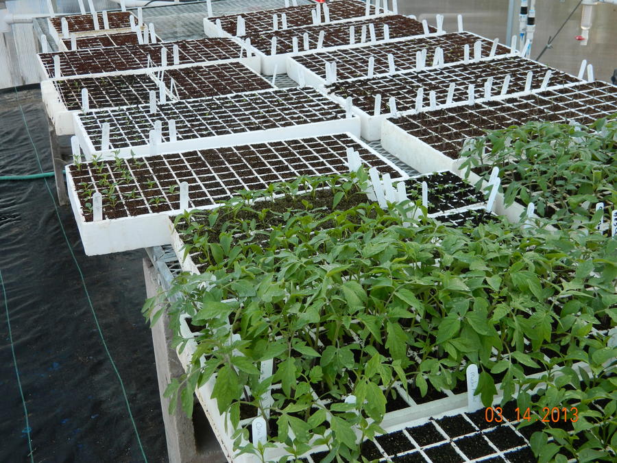 DSCN0922.JPG