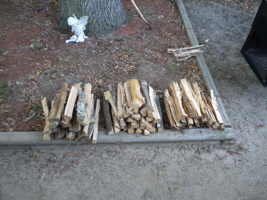 DSCN1007.JPG