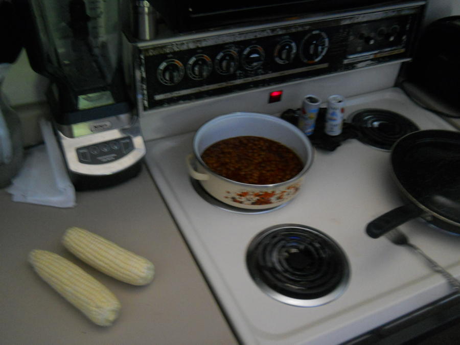 DSCN1295.JPG