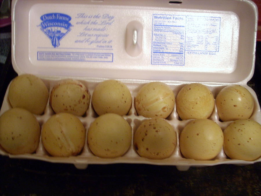 DSCN1704.JPG