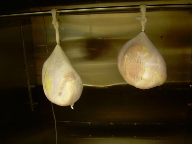 DSCN3033 (Small).JPG