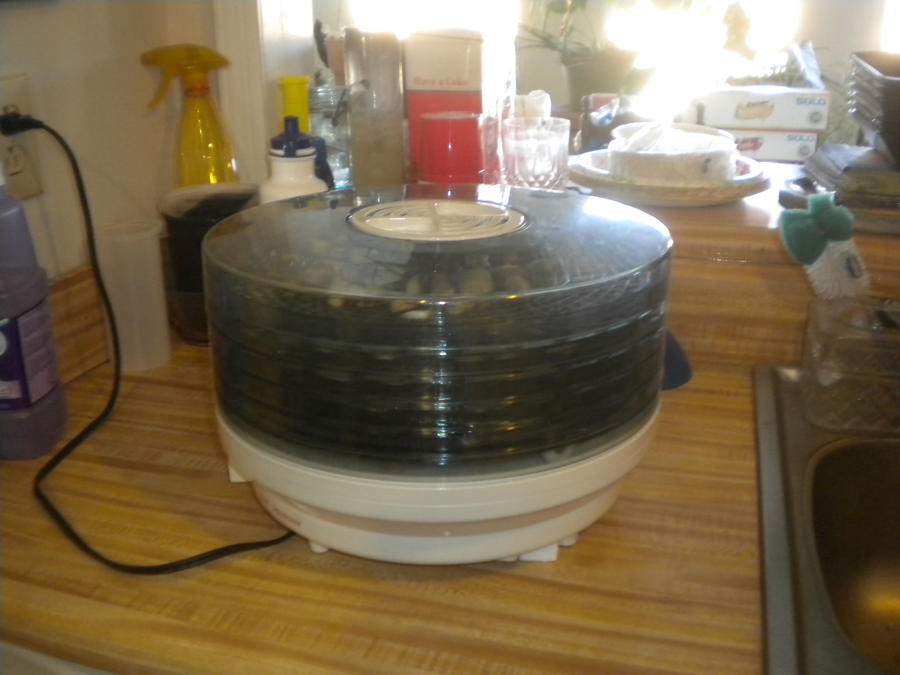 DSCN3605.JPG
