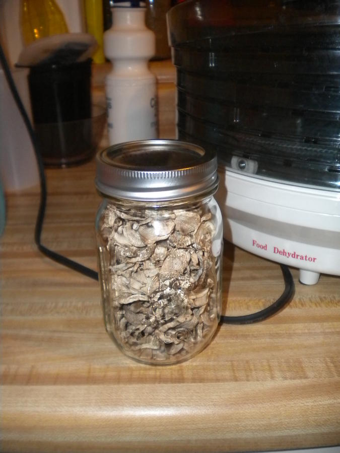 DSCN3607.JPG