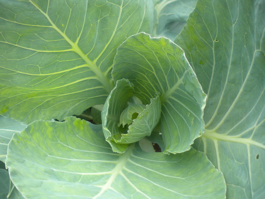 DSCN4415.JPG