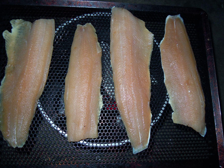 DSCN4641.jpg