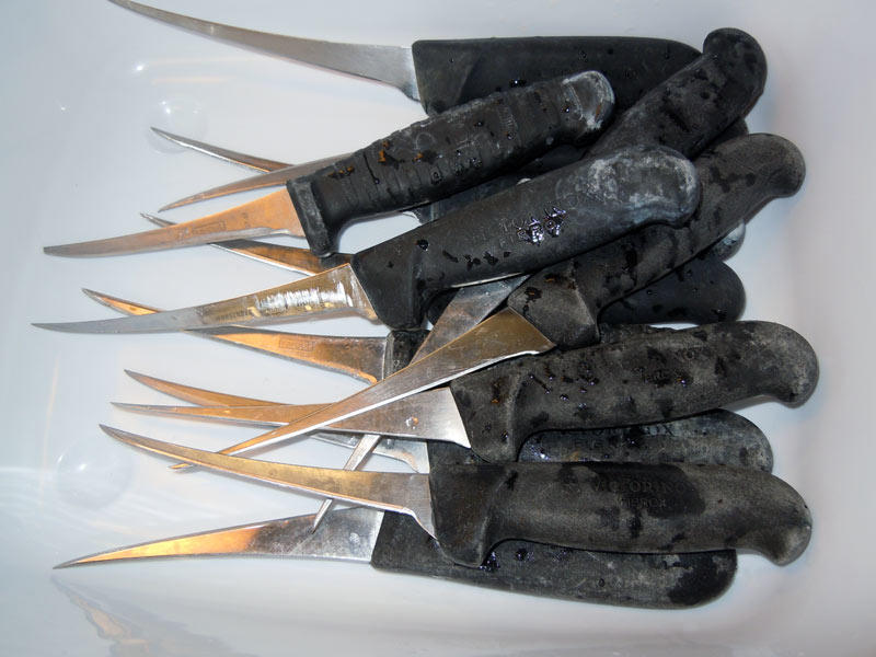 DSCN4680.jpg
