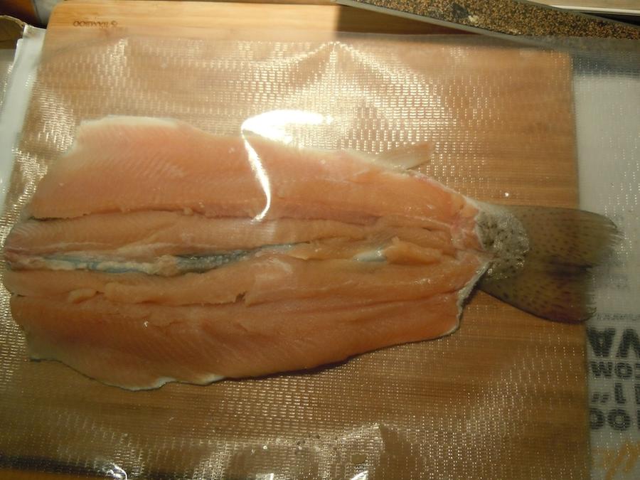 DSCN4701.jpg
