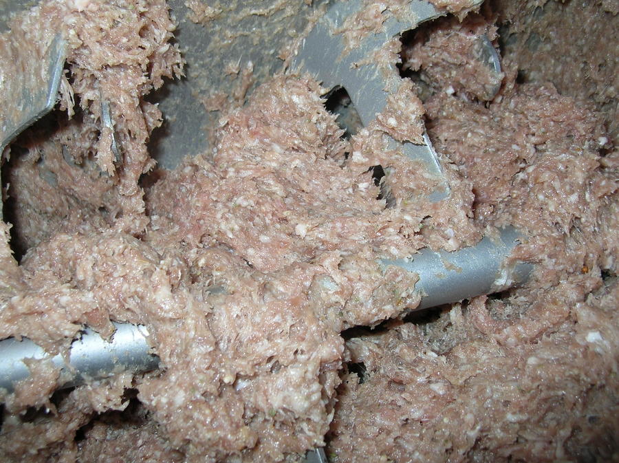 DSCN8559.JPG
