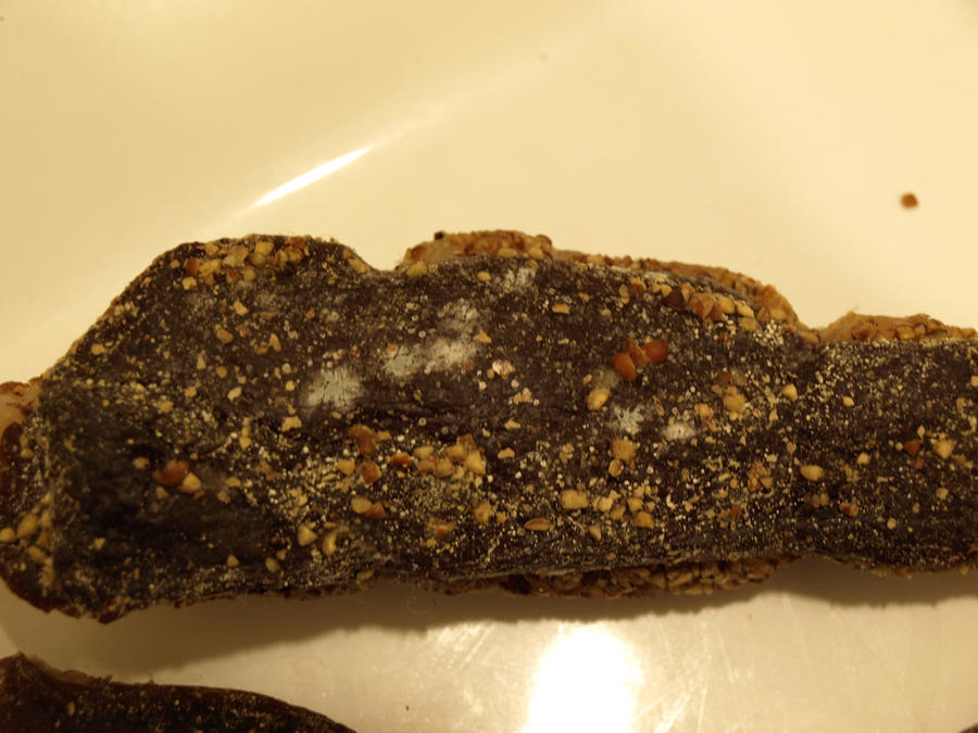 duckproscuitto log02.jpg