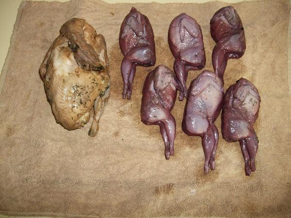 easter birdies 001.jpg