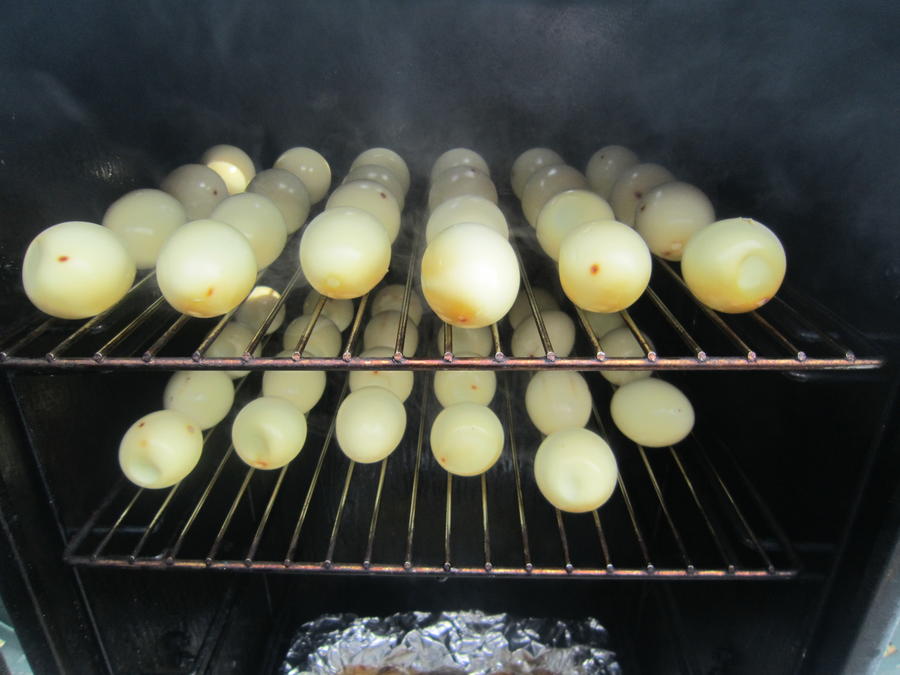 eggs 051.JPG
