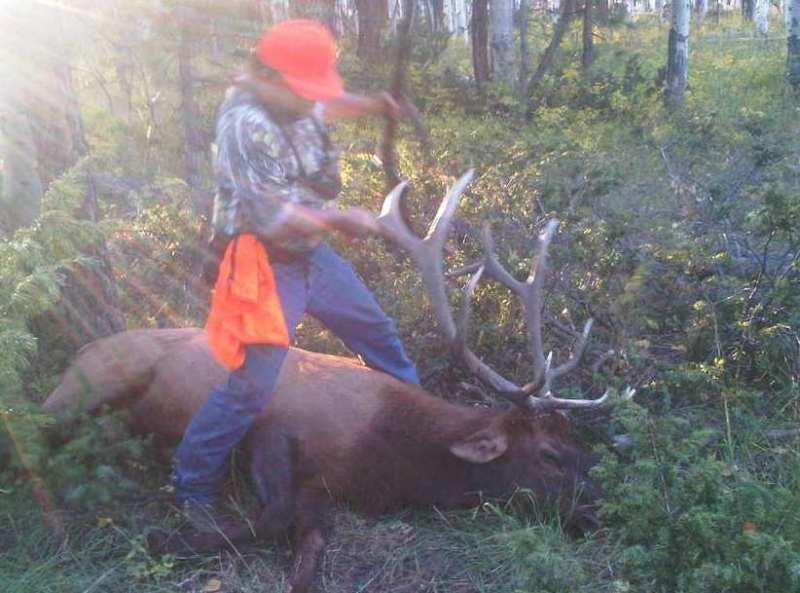 elk917area61.jpg