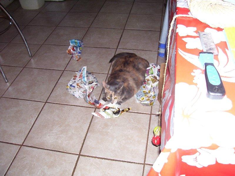 Exchange Gary 001.jpg