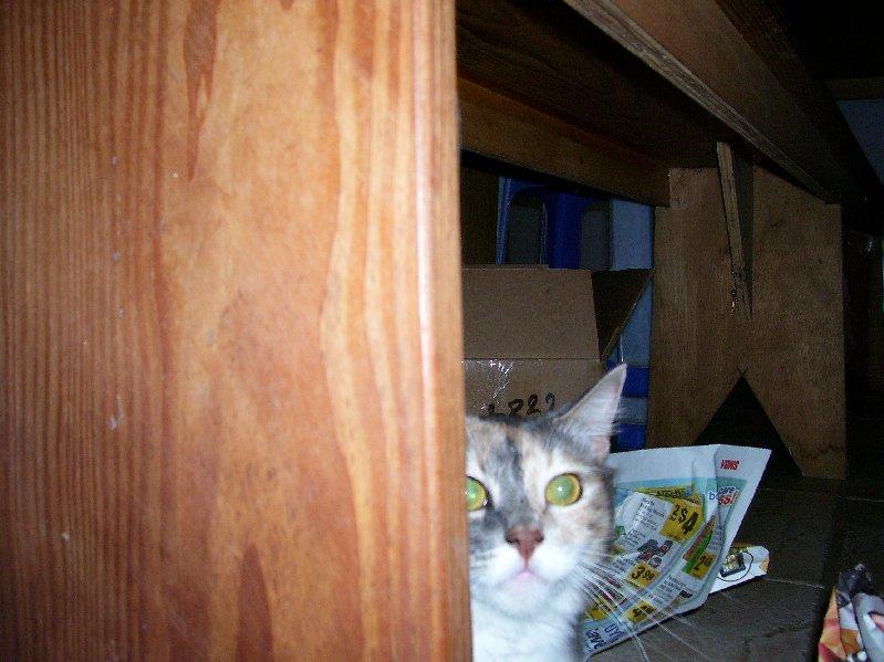 Exchange Gary 2 001.jpg