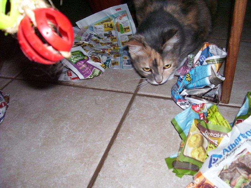 Exchange Gary 2 003.jpg