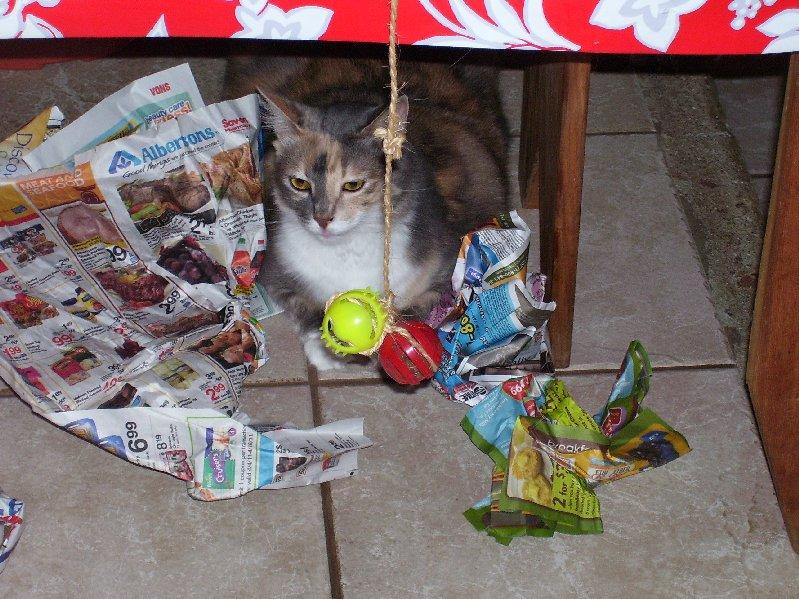 Exchange Gary 2 011.jpg