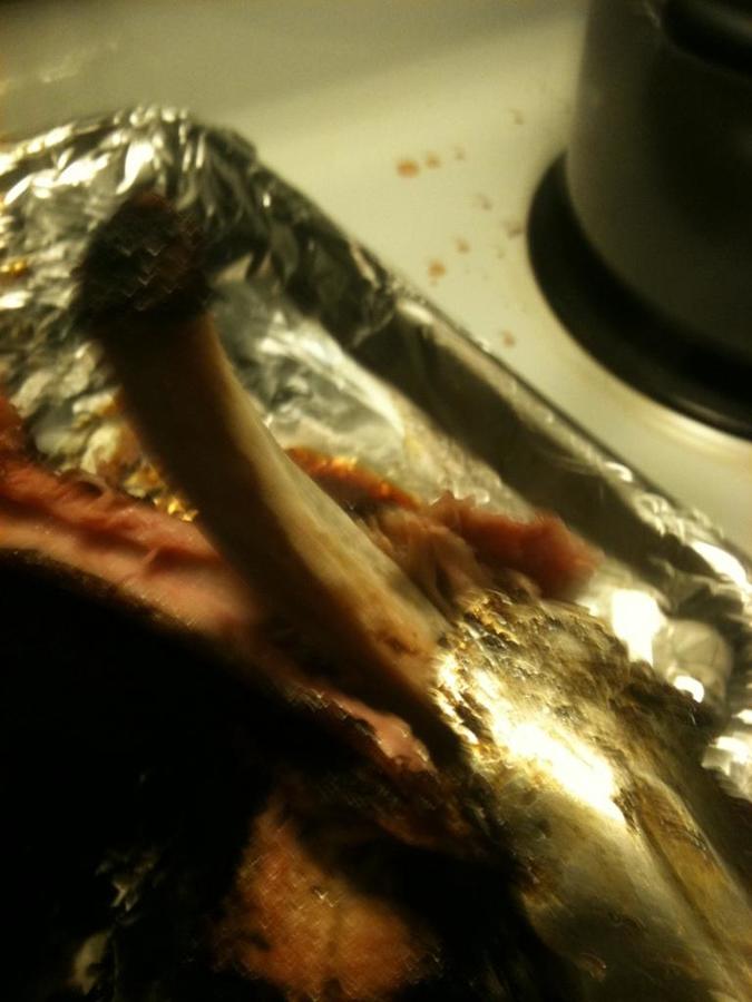 falling right off the bone .jpg