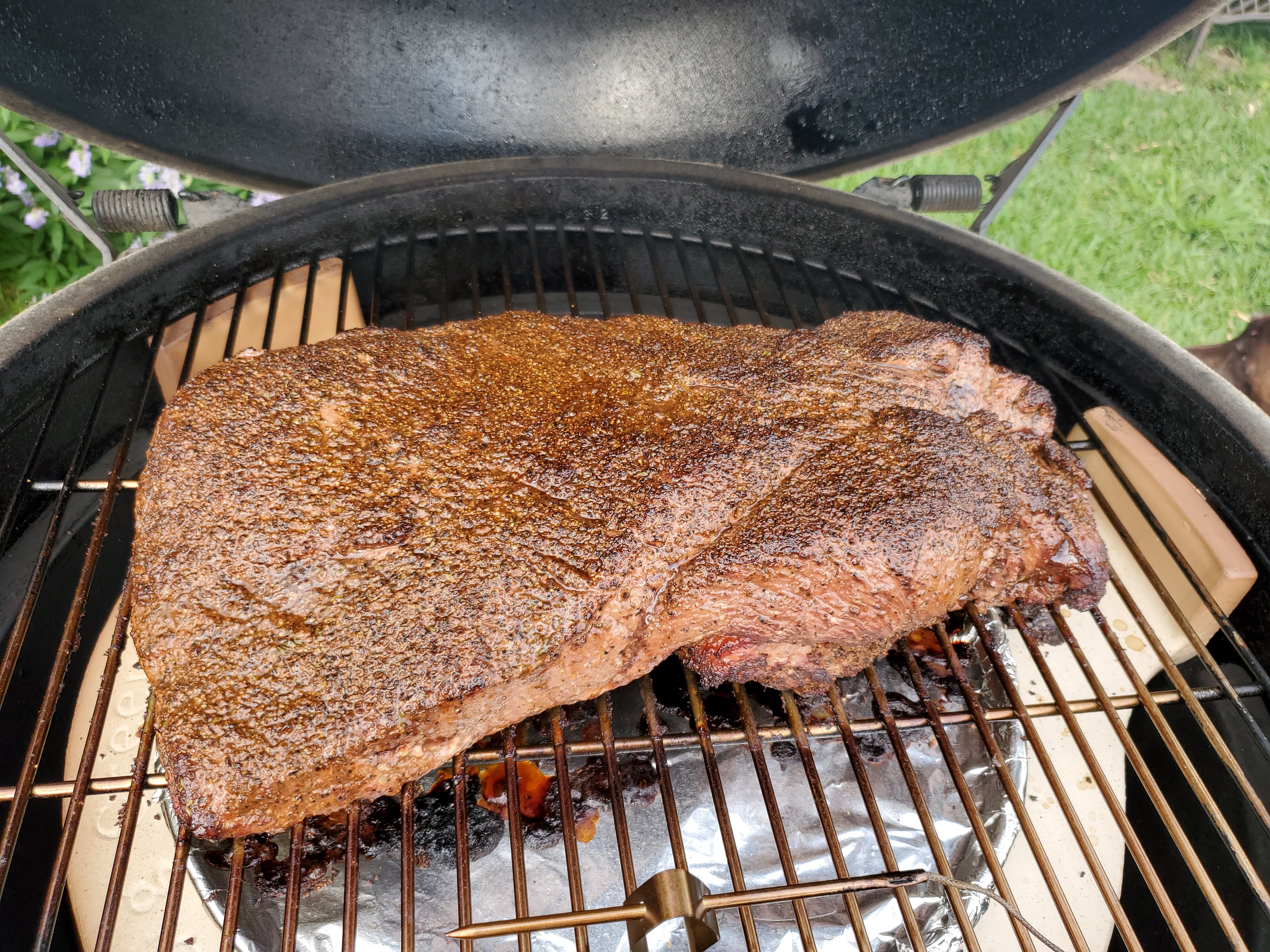 Few hours in and spritzed