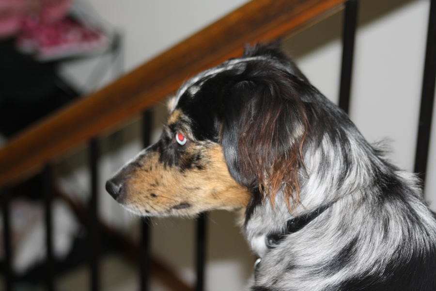 first photos 011.JPG