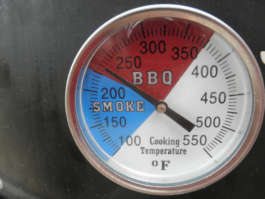 first smoked ribs 003.JPG