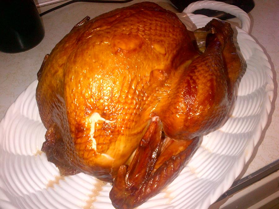 first smoked turkey 122711.jpg