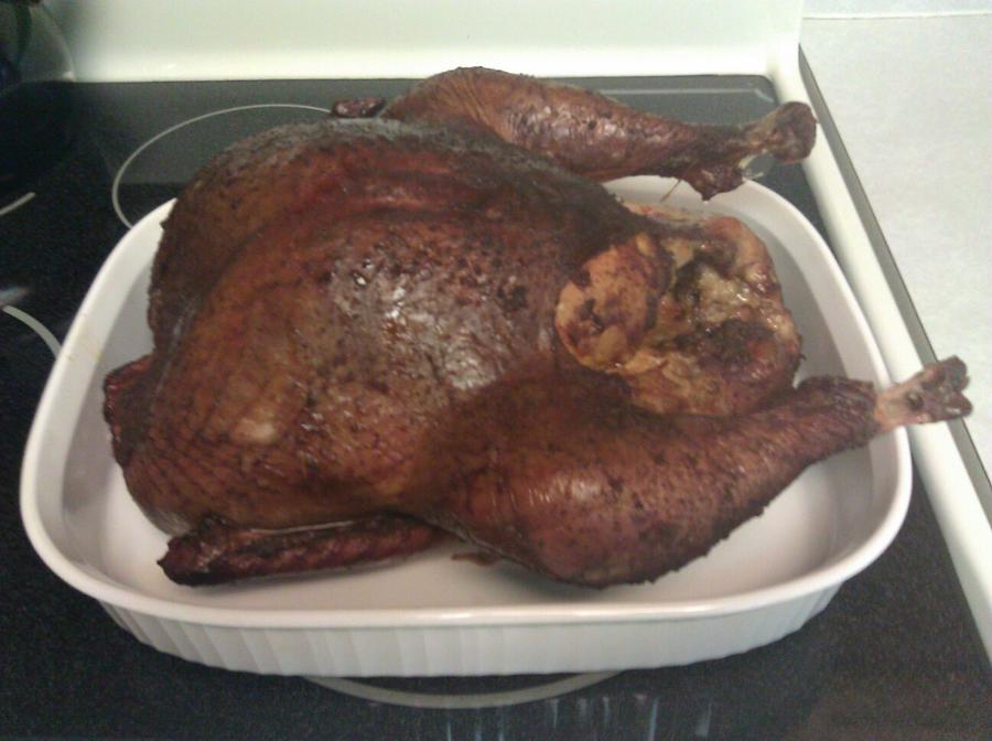 first turkey smoke.jpg