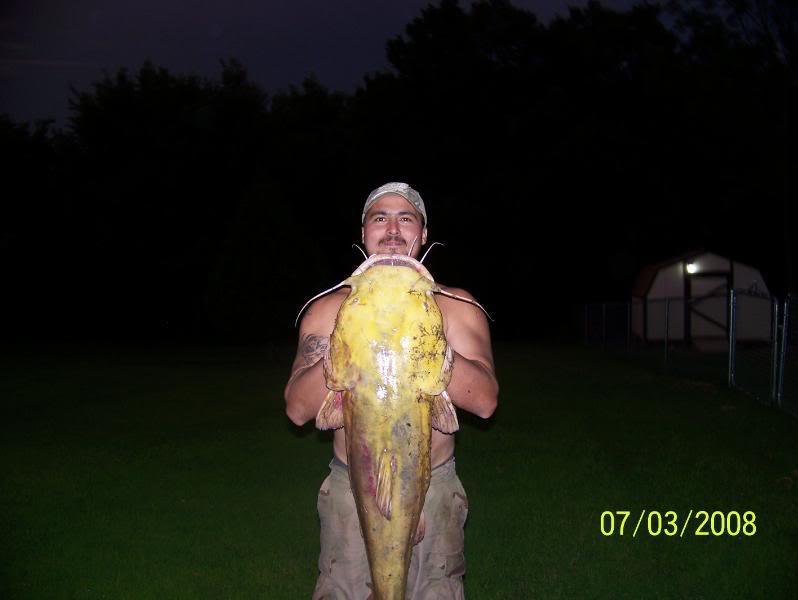 fish.jpg