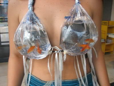 fish-tank-bra_large.jpg