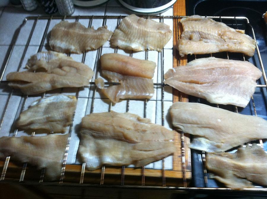 fish2.JPG