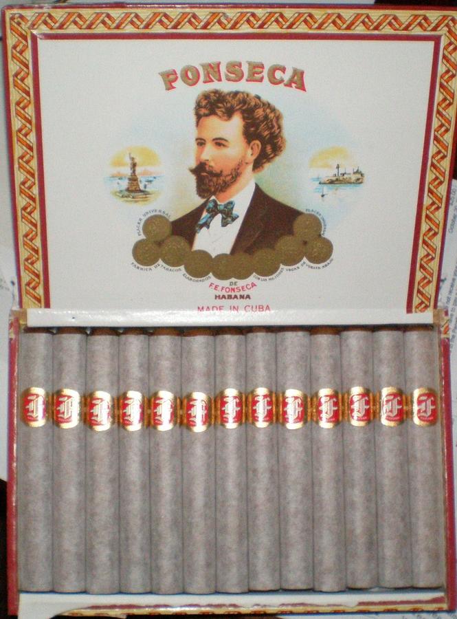 fonseca 002.JPG