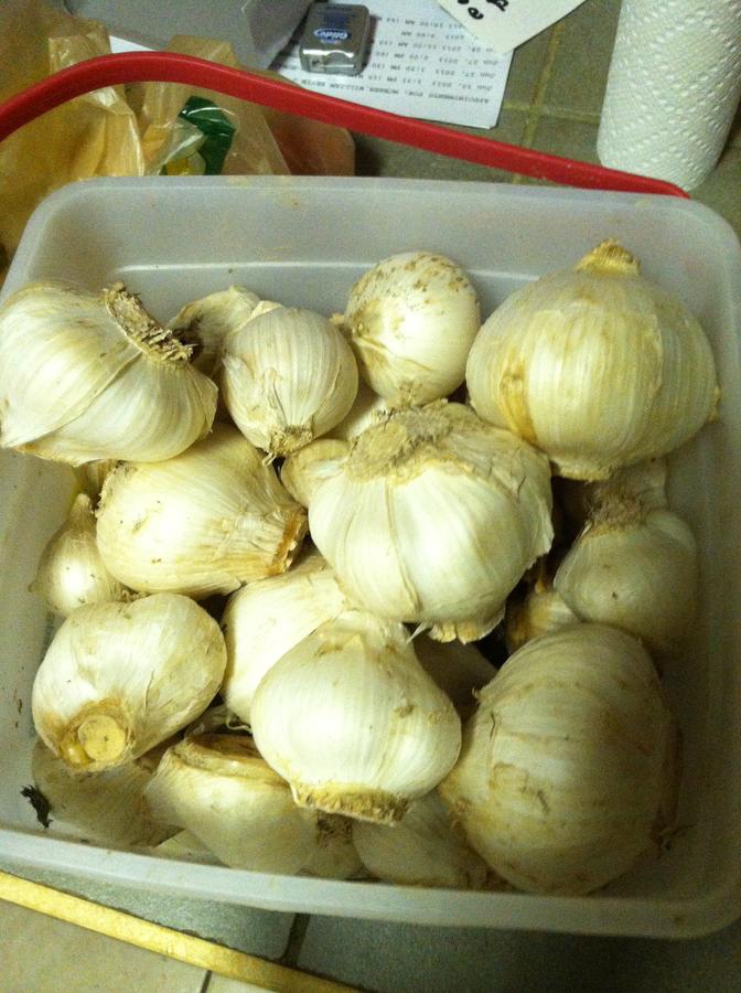 food for me 077.JPG