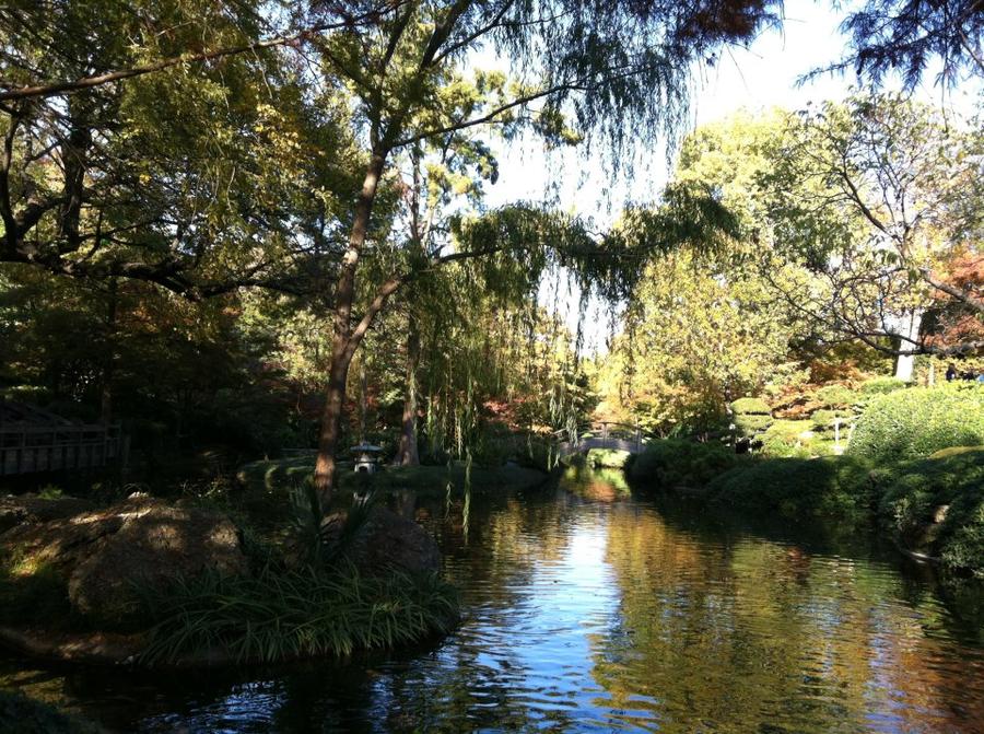 Fort Worth Japanese Gardens.jpg