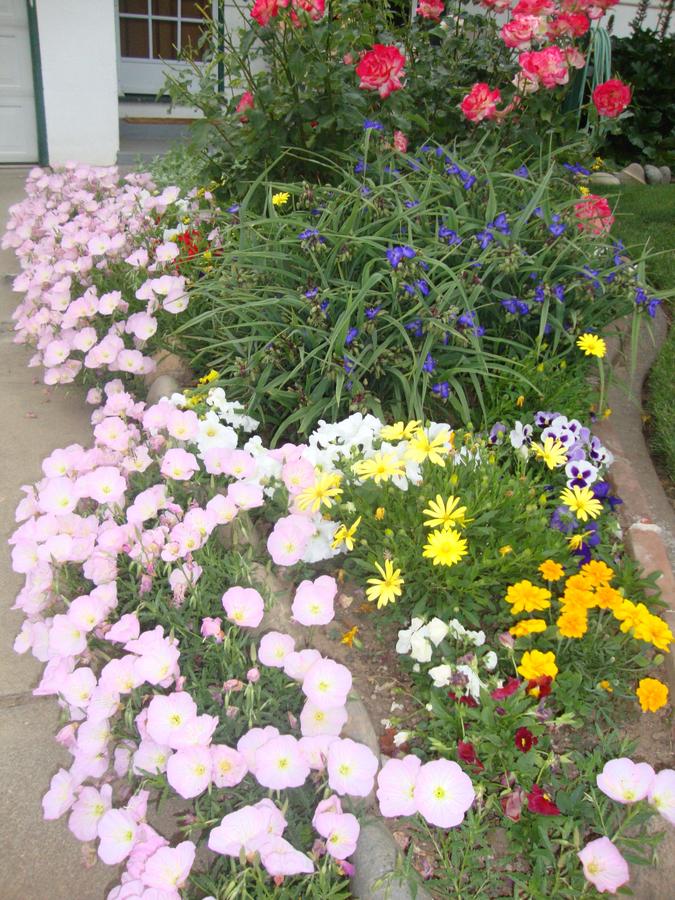 FrontFlowerBed.JPG