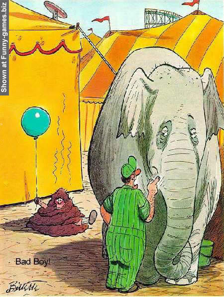 funny-elephant-pic.jpg