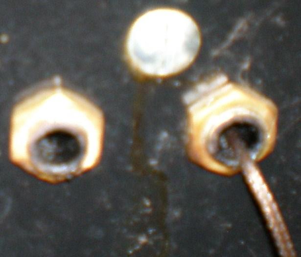 garden center tallahhasse 011.JPG