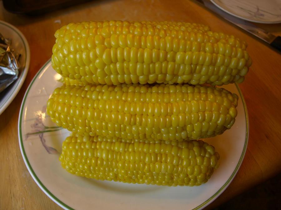 garden corn 7-25-2010.jpg