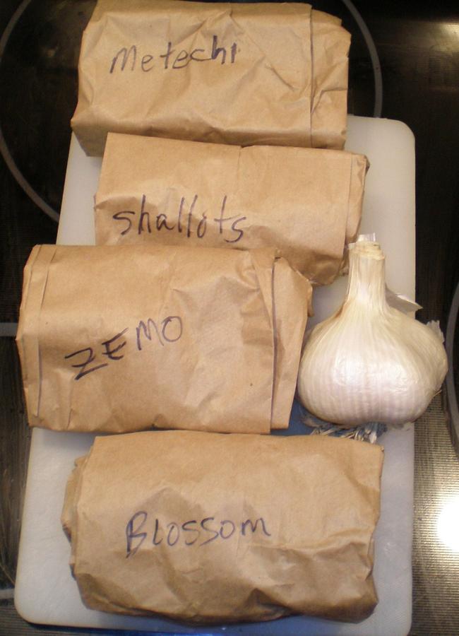 Garlic 2012 001.JPG