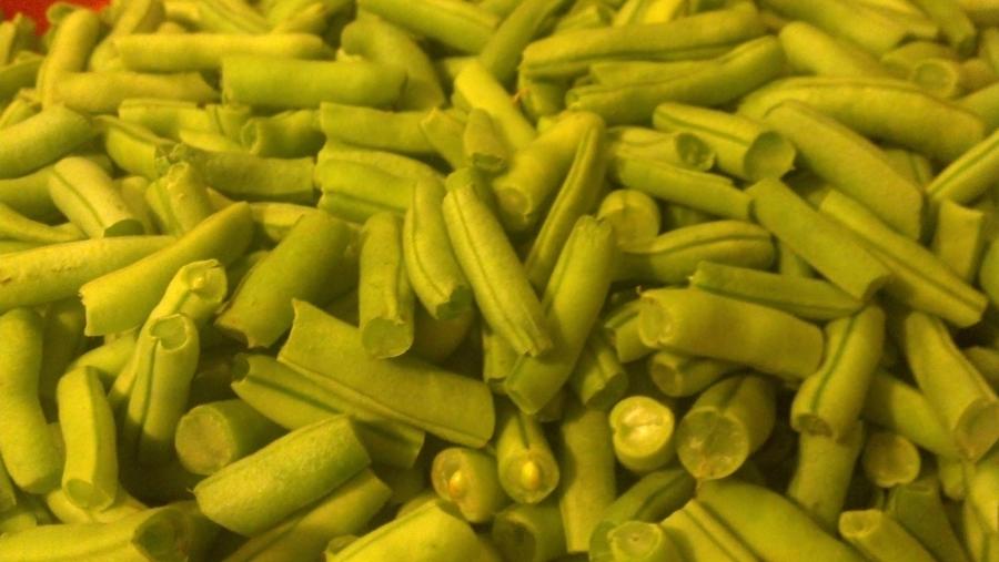 green beans 7-13 3.JPG