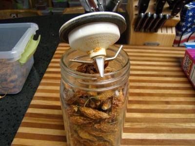 Grinding_Peppers_Blender0002.jpg