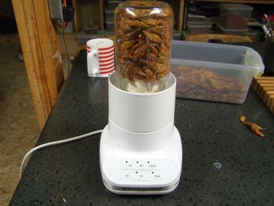 Grinding_Peppers_Blender0006.jpg