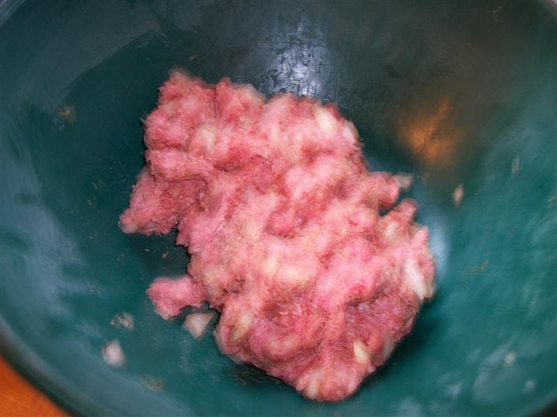 grnd gator tail2 (Medium).jpg