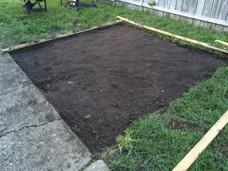 ground.JPG