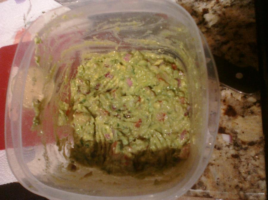 guacamole 2.jpg