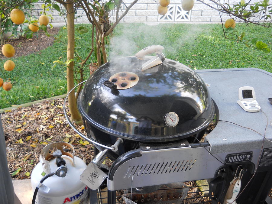 Guru in kettle 1.JPG