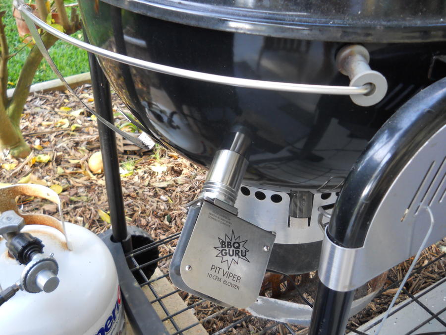 Guru in kettle 3.JPG