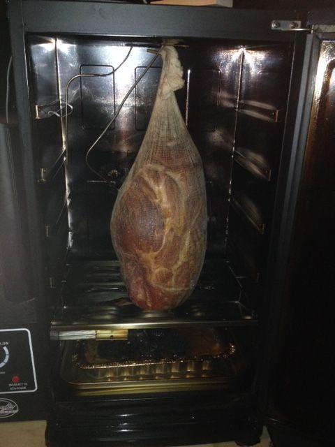 Ham In OBS.jpg
