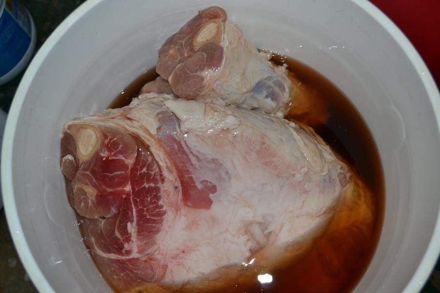 Ham1.JPG