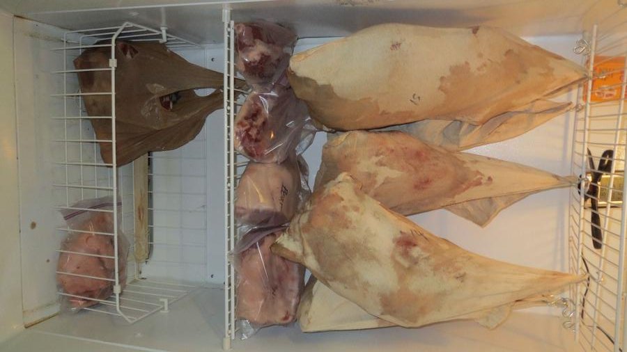 Hams, ribs, bacon, loins.JPG